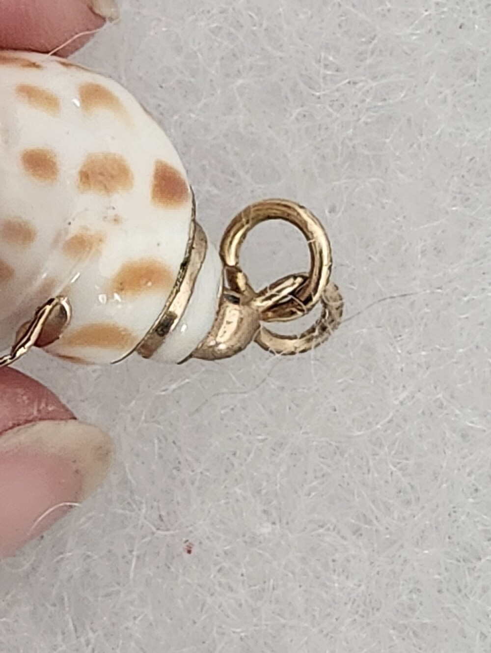 Seashell Pendant Brown & White With Gold Tone Trim & Bail - Picture 3 of 11